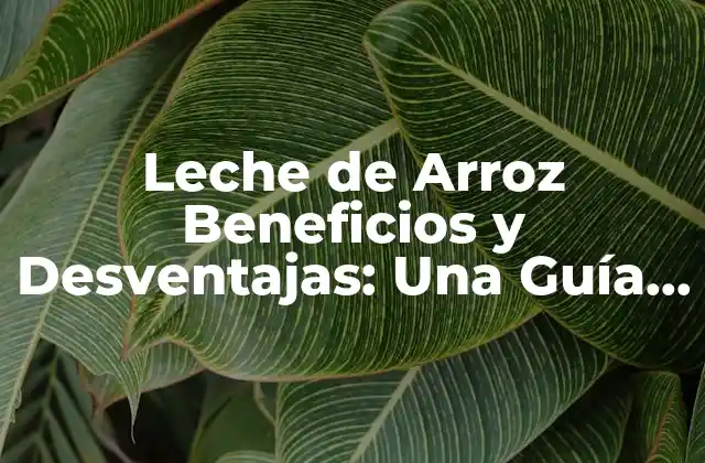 Leche de Arroz Beneficios y Desventajas: una Guía Completa