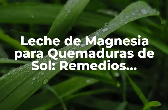 Leche de Magnesia para Quemaduras de Sol: Remedios Naturales y Efectivos
