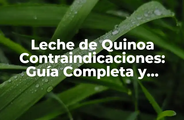 Leche de Quinoa Contraindicaciones: Guía Completa y Detallada