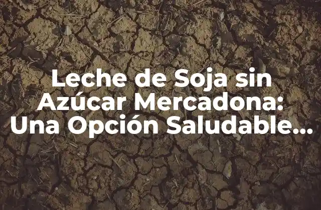 Leche de Soja sin Azúcar Mercadona: una Opción Saludable y Sustentable