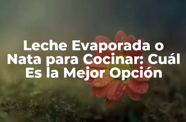 ¿Qué es la Leche Evaporada?