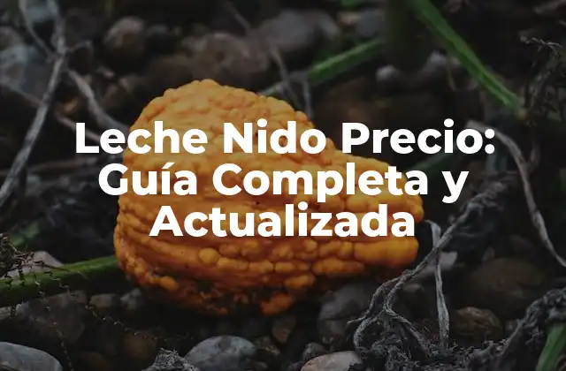 Leche Nido Precio: Guía Completa y Actualizada