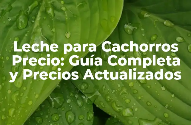 Leche para Cachorros Precio: Guía Completa y Precios Actualizados