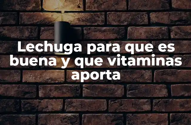 Lechuga para que es Buena y que Vitaminas Aporta 2 Beneficios de la lechuga para la salud general