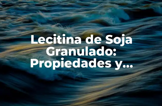 Lecitina de Soja Granulado: Propiedades y Beneficios para la Salud