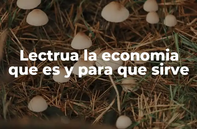 Lectrua la Economia que es y para que Sirve 2 El papel de la lectura en la comprensión de la economía