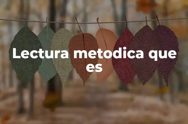 Lectura Metodica que es