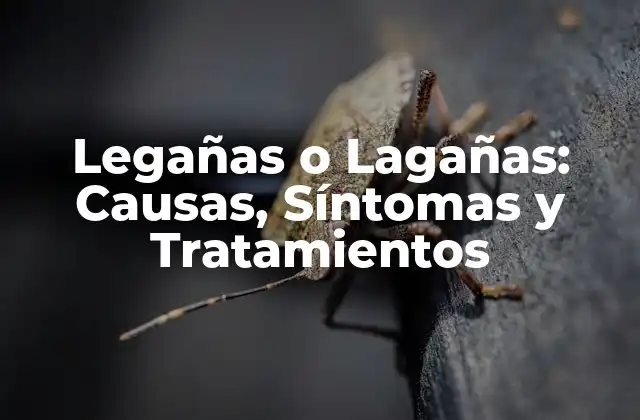 Legañas o Lagañas: Causas, Síntomas y Tratamientos