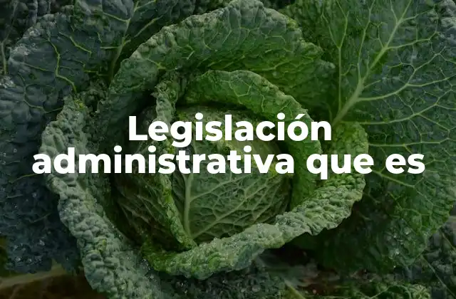 Legislación Administrativa que es 2 La regulación del Poder Ejecutivo y su importancia