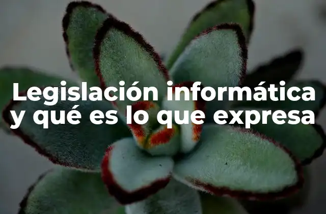 Legislación Informática y Qué es Lo que Expresa