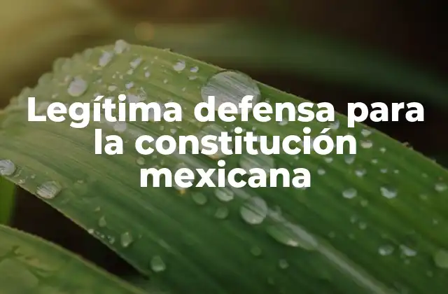 Legítima Defensa para la Constitución Mexicana