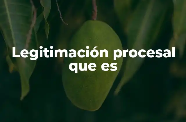 Legitimación Procesal que es