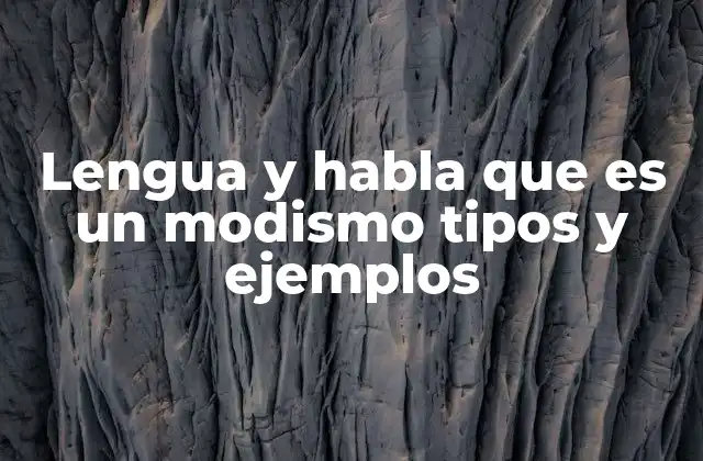 La relación entre lengua, habla y modismo en el uso cotidiano
