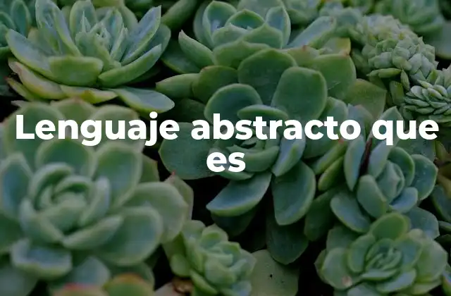 Lenguaje Abstracto que es