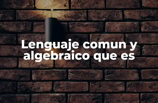 Lenguaje Comun y Algebraico que es