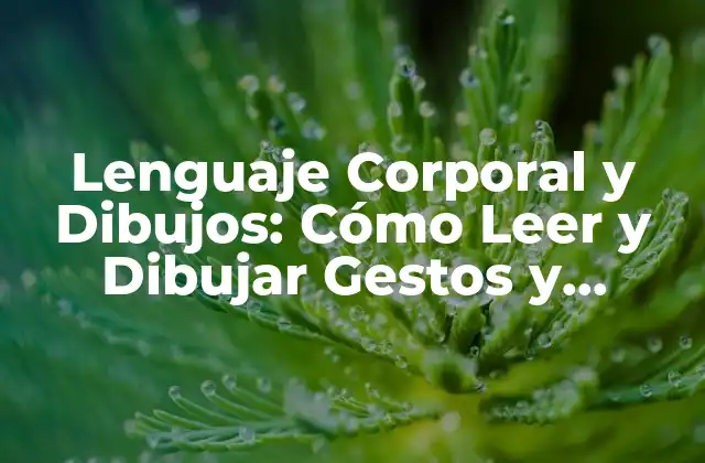 Lenguaje Corporal y Dibujos: Cómo Leer y Dibujar Gestos y Posturas para Comunicar Efectivamente