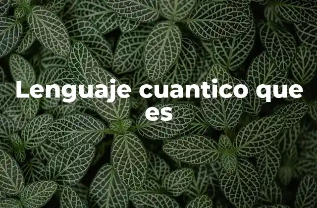 Lenguaje Cuantico que es