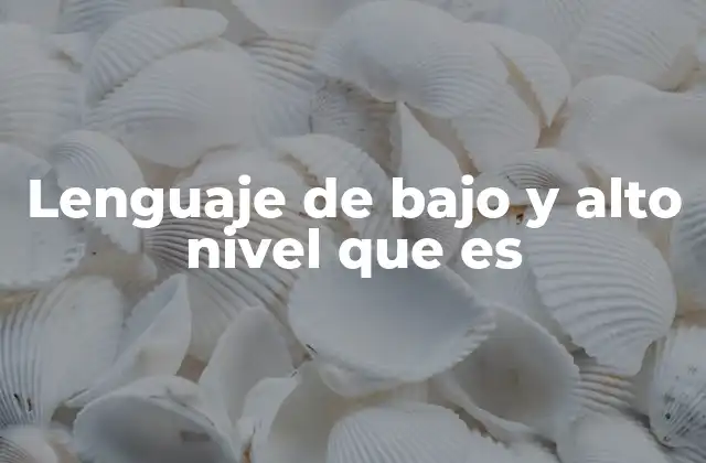 Lenguaje de bajo y Alto Nivel que es