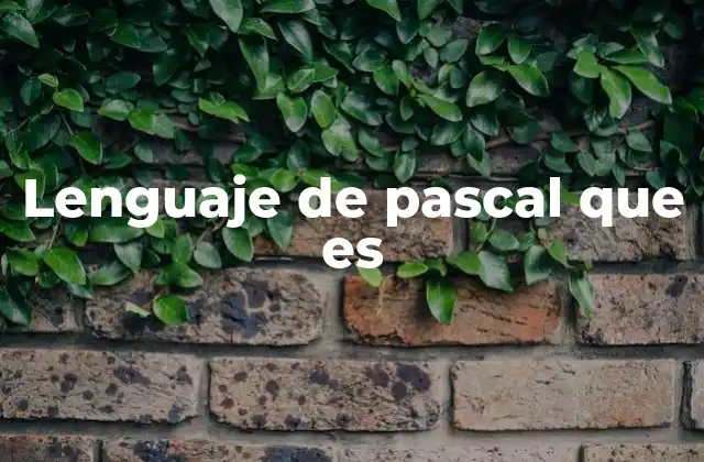 Lenguaje de Pascal que es