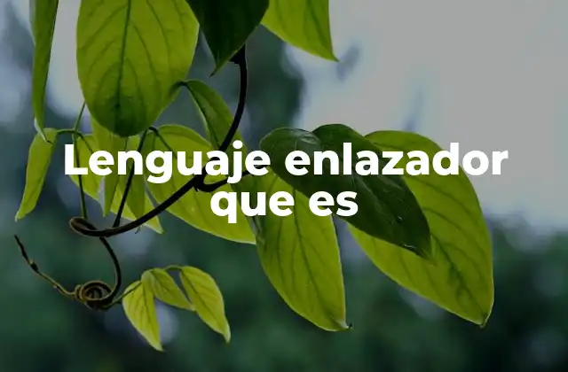 Lenguaje Enlazador que es