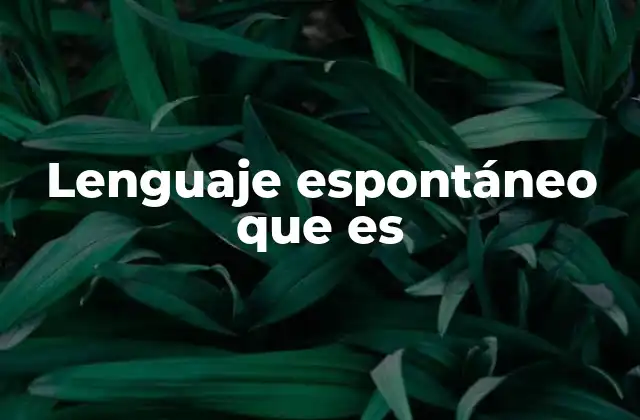 Lenguaje Espontáneo que es