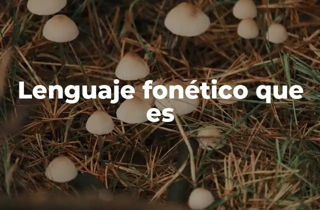 Lenguaje Fonético que es