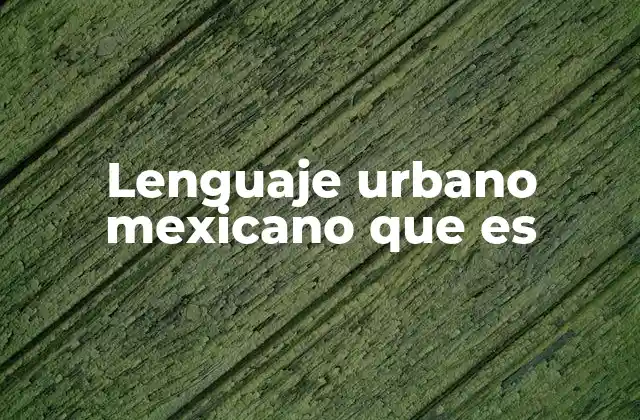 El lenguaje urbano como reflejo de la identidad cultural mexicana