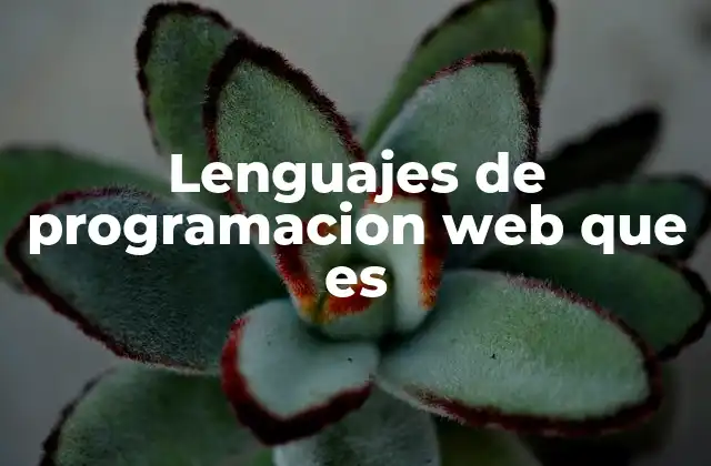 Lenguajes de Programacion Web que es