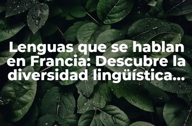 Lenguas que Se Hablan en Francia: Descubre la Diversidad Lingüística Del País Galo