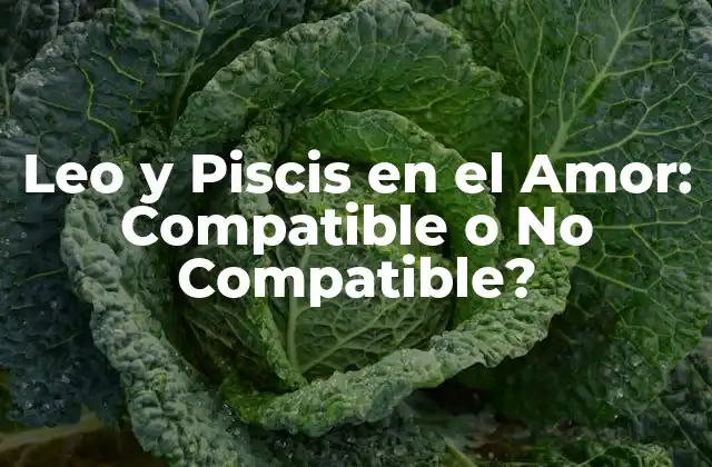 Leo y Piscis en el Amor: Compatible o No Compatible?