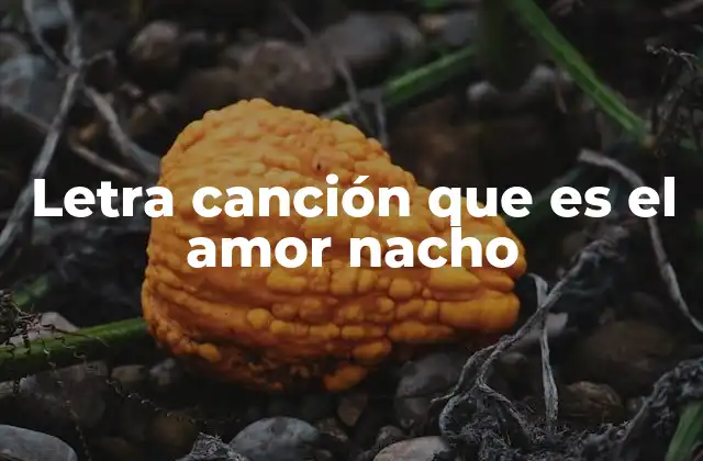 Letra Canción que es el Amor Nacho 2 La historia detrás de Qué es el amor
