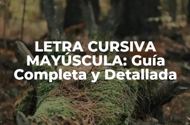 Orígenes y Evolución de la Letra Cursiva Mayúscula