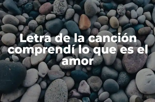 Letra de la Canción Comprendí Lo que es el Amor