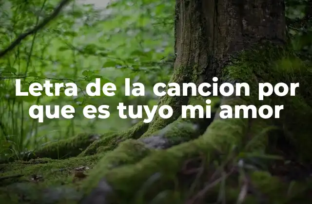 Letra de la Cancion por que es Tuyo Mi Amor