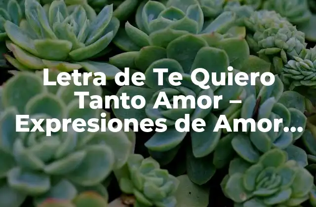 Orígenes de la Letra de Te Quiero Tanto Amor