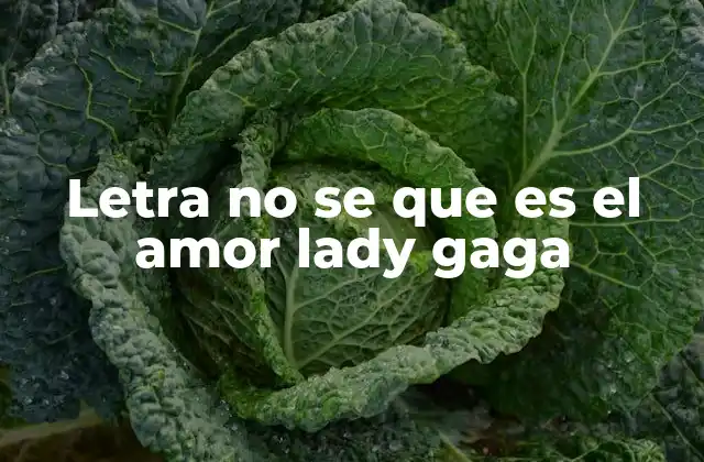 Letra No Se que es el Amor Lady Gaga