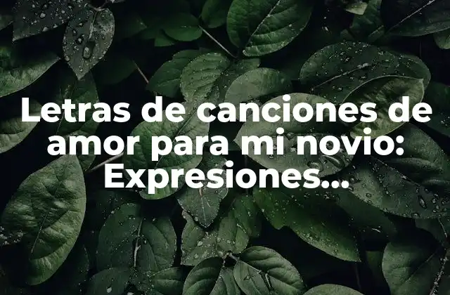 Letras de Canciones de Amor para Mi Novio: Expresiones Románticas para Conquistar Su Corazón