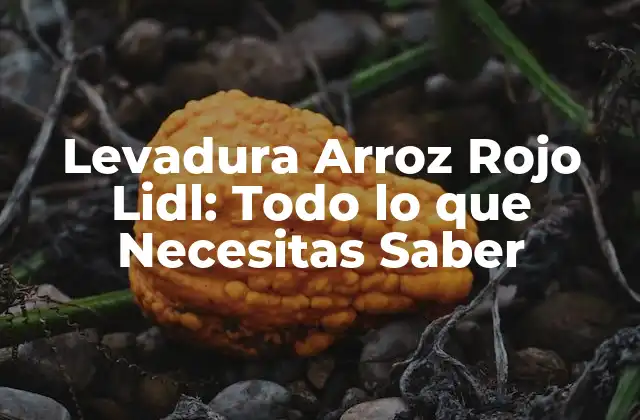 Levadura Arroz Rojo Lidl: Todo Lo que Necesitas Saber
