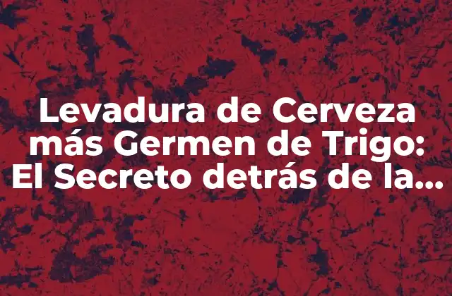 Levadura de Cerveza Más Germen de Trigo: el Secreto Detrás de la Cerveza Artesanal