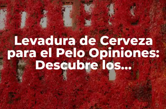 Levadura de Cerveza para el Pelo Opiniones: Descubre los Beneficios