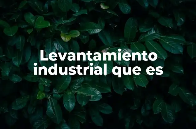Levantamiento Industrial que es 2 El rol del levantamiento en la optimización industrial