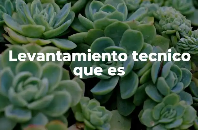 Levantamiento Tecnico que es