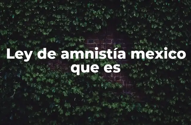 Ley de Amnistía Mexico que es