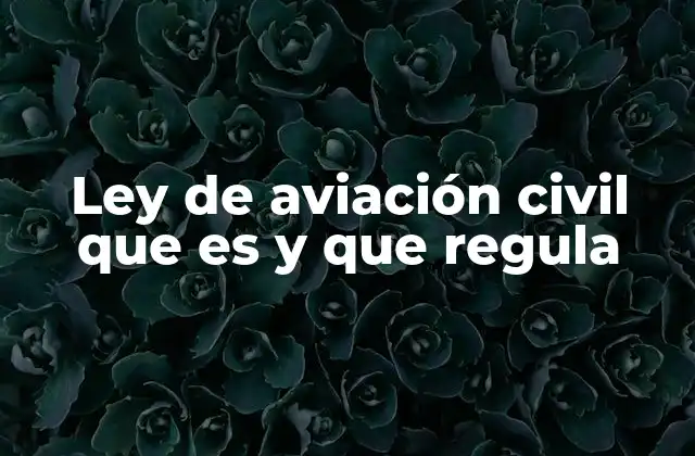Ley de Aviación Civil que es y que Regula