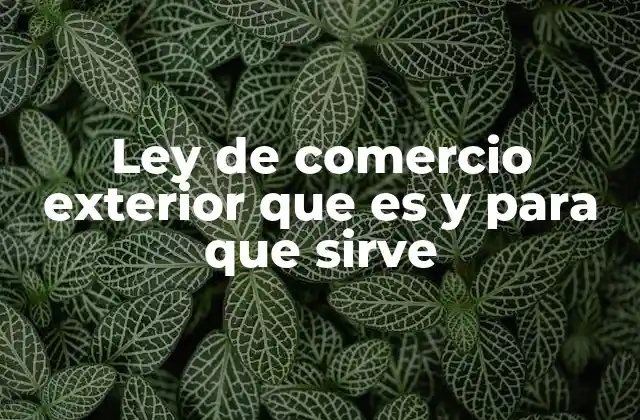 Ley de Comercio Exterior que es y para que Sirve