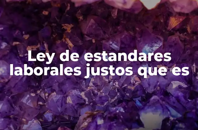Ley de Estandares Laborales Justos que es
