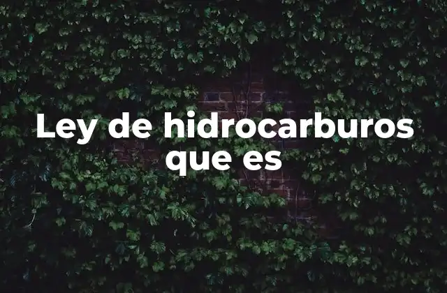 Ley de Hidrocarburos que es