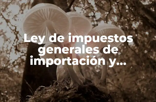 Ley de Impuestos Generales de Importación y Exportación que es