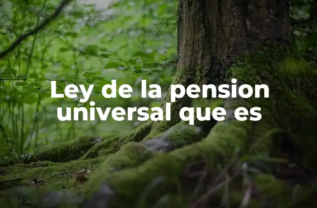 Ley de la Pension Universal que es
