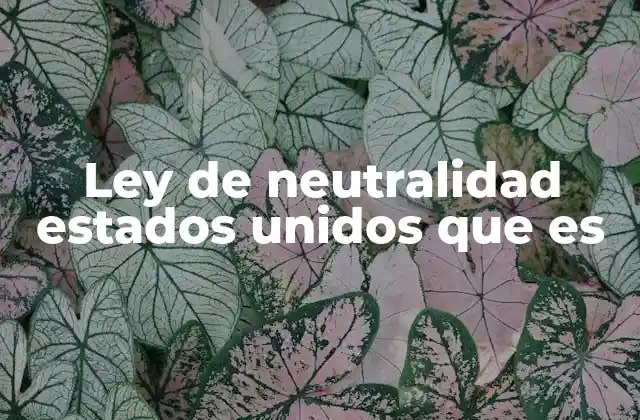 Ley de Neutralidad Estados Unidos que es
